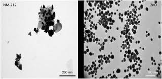 Check spelling or type a new query. Nanoparticle Induced Barrier Function Assessment At Liquid Liquid And Air Liquid Interface In Novel Human Lung Epithelia Cell Lines Toxicology Research Rsc Publishing Doi 10 1039 C9tx00179d