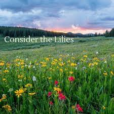 Apr 13, 2011 · it's a gift to keep ourselves focused on christ, to deflect our notions of being immersed in the less important issues, and lose balance. February 5 Consider The Lilies Unitarian Universalist Society Of Mill Creek