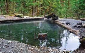 We did not find results for: Baker Hot Springs Bellingham Alive October Edition