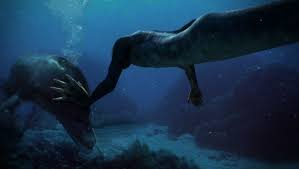 A to znaczy że prawdziwe syreny też tam gdzieś są | foki to psie syreny. Czy Syreny Faktycznie Istnieja Ciekawe Org Ciekawe Org