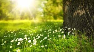 ¿cuándo empieza el invierno 2019? Cuando Empieza La Primavera Y Cuando Acaba El Invierno