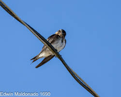 EDIT 3: Added a photo I forgot I took