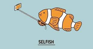 Selfish Time Lol Funny Selfie Fish Meme Funny Doodles Funny Illustration Funny Drawings