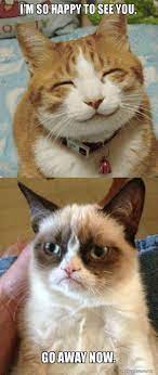 I M So Happy To See You Go Away Now Grumpy Cat Vs Happy Cat Make A Meme