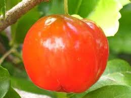 Fruit Names A Z With Pictures Fruit Names Starting With M