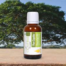 Image result for Copaifera