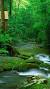 Full Hd Wallpaper Download For Mobile