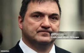 84 Pestered Stock Photos, High-Res Pictures, and Images