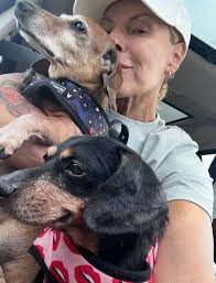 Administering insulin to a diabetic pet