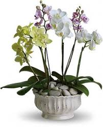 A word about featured sales. 94 Church Decoration Ideas Flower Arrangements Floral Arrangements Wedding Flowers