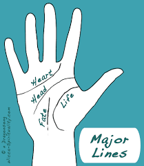 Palm Reading Diagram List Of Wiring Diagrams