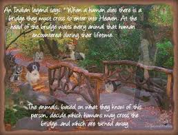 An Indian Legend Says When A Human Dies There Is A Bridge They Must Cross To Enter Into Heaven At The Head O Indian Animals Indian Legends Dog Heaven Quotes