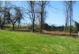 The bill peterson tree service principal address is 11323 spivey road, gibsonton, fl, 33534. Demarco Tree Service And Land Clearing Tree Service In Malvern Bryn Mawr West Chester Newtown Square And All Over Chester County Pa