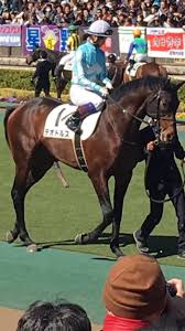 競馬】菜七子に乗られてギンギンに勃○する馬wwwwwwwww | うま速@競馬まとめ