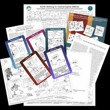 Fair play, santa cruz de la sierra (santa cruz de la sierra, bolivia). Fair Play Packages Horsewelfare Wow