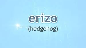 (m) both hedgehogs and porcupines have quills, but they are completely different in almost every other way.tanto los erizos como los puercoespines tienen púas, pero son completamente diferentes en casi todos los otros aspectos. How To Pronounce Hedgehog Erizo In Spanish Youtube