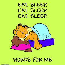Garfield