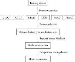 Jw pepper ® is your sheet music store for band, orchestra and choral music, piano sheet music, worship songs, songbooks and more. Bentham Science Publisher Of Excellence For All Biomedical Medical And Pharmaceutical Decision Makers