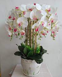 Bunga anggerik bunga orkid orchid beauty flowers flower shopping entertainment hobbies dekorasi laman decorating orchids. Orkid Latex Printed Utk Hiasan Meja Gubahan Bunga Murah Facebook