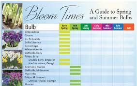 bloom times guide to spring and summer bulbs longfield