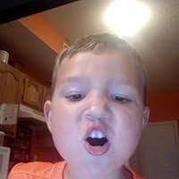 Cats, Cats! by Michelle Nelson-Schmidt