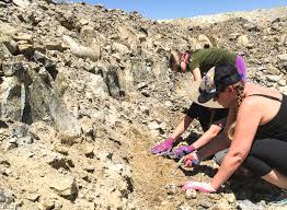 Maybe you would like to learn more about one of these? Kids Love Digging In The Dirt Agate Hunting At The Richardson Rock Ranch Moosefish Com