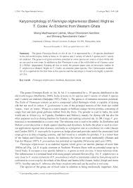 Image result for Eriosema rhynchosioides