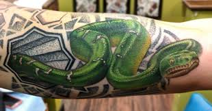 1 green tree python tattoo designs. 16 Best Python Tattoo Design Ideas Petpress