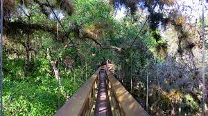 10 things you can do to save forests; Myakka Walkway Tree Foundation