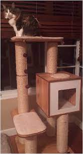 Cat Tree Parts Cat Tree Parts Cat Tree Parts Cat Tree Parts Cat Tree Parts Cat Tree Parts Cat Tree Parts Cat Tree Parts Cat Tree Parts Cat Tree Parts Cat Tree