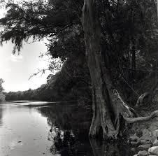 Welcome to the official channel of united states tourism. Landscapes And Ecologies Of The Us South Essays In Eco Cultural History Southern Spaces