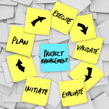 Win a trip to queenstown with beat that: The Role Of The Project Manager