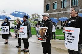Image result for peta protests