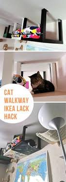 Cat Walkway How To Make Space For Your Furkids Ikea Hackers Ikea Hacks For Cats Cat Walkway Cat Room Diy