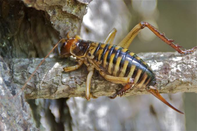 images?q=tbn:ANd9GcRWUJlua08sHM_MshFSgLk