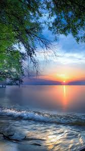 austria lake constance water trees sunrise 750x1334 iphone 8 7 6 6s wallpaper background picture image austria lake constance water trees