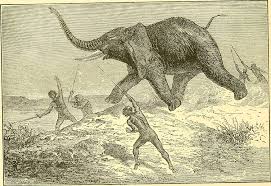 44 Elephant hunting in art Images: PICRYL - Public Domain Media Search Engine Public Domain Search