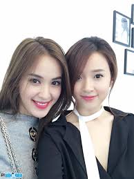 Ứng dụng tử vi 2021 có 2 phần chính là: Diá»…n Vien Tu Vi
