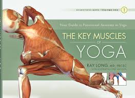 The Key Muscles Of Yoga Scientific Keys Volume 1 Yoga Anatomy Yoga Books Hatha Yoga