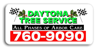 Look no further, we are daytona beach, fl. Isa Board Certified Tree Service New Smyrna Beach Ormond Beach Port Orange Fl