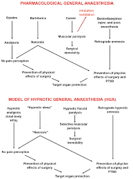 flow charts showing the scheme of pharmacological general