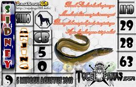 Togel Panas Erek Erek Erek Erek Prediksi Jitu 4d Singapore Live 4d Hari Ini Keluar Aki Wilson Bagaimana Membedah Syair Bedah Syair Sgp Bocoran Sy Oktober
