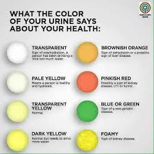 what can your urine color say about you and your health