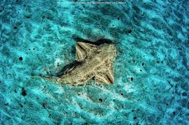 Lucia correa cum tribute this was my maiden visit with