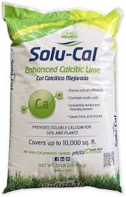 Image result for Limeum sulcatum
