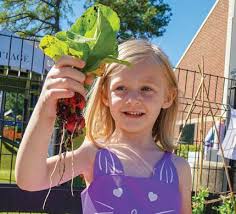 Growing Minds The Benefits of PK3 Gardening
