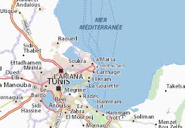 La tunisie, avec ses plages de rêve, son mythique désert du sahara, ses innombrables souks, ses sites archéologiques, ainsi que bien d'autres encore, a énormément à offrir aux vacanciers. Michelin La Marsa Map Viamichelin