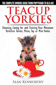 They are compact but sturdy dogs with an abundant textured coat with a highly plumed tail set high and flat. Teacup Yorkies The Complete Owners Guide Choosing Caring For And Training Your Miniature Yorkshire Terrier Micro Toy Or Mini Yorkie Kenworthy Alan 9780992784300 Amazon Com Books