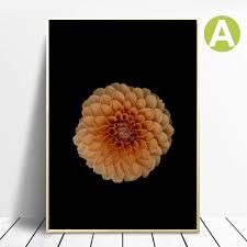 Black And White Flower Prints In Frames Black And White Wall Art Canvas Print Of Flower