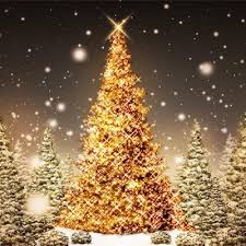 A slavic holiday celebrated at the winter solstice), also compare macedonian dialectal крачун (kračun, christmas), slovak kračun (winter solstice feast) (dialectal, christmas). Bonvino Karacsony Hotel Bonvino Wine Spa